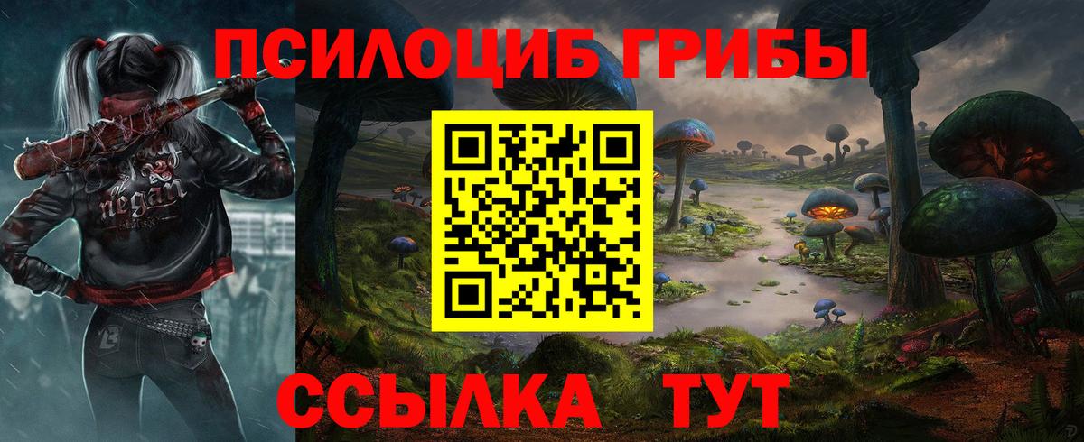 Псилоцибиновые грибы Psilocybe  Вход с VPN  Геленджик  Псилоцибиновые грибы прущие грибы 