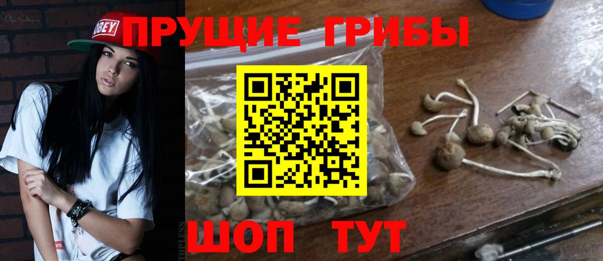 Галлюциногенные грибы мухоморы Геленджик